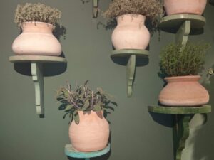 Bylinky v keramických květináčích na retro poličkách. Foto al 
