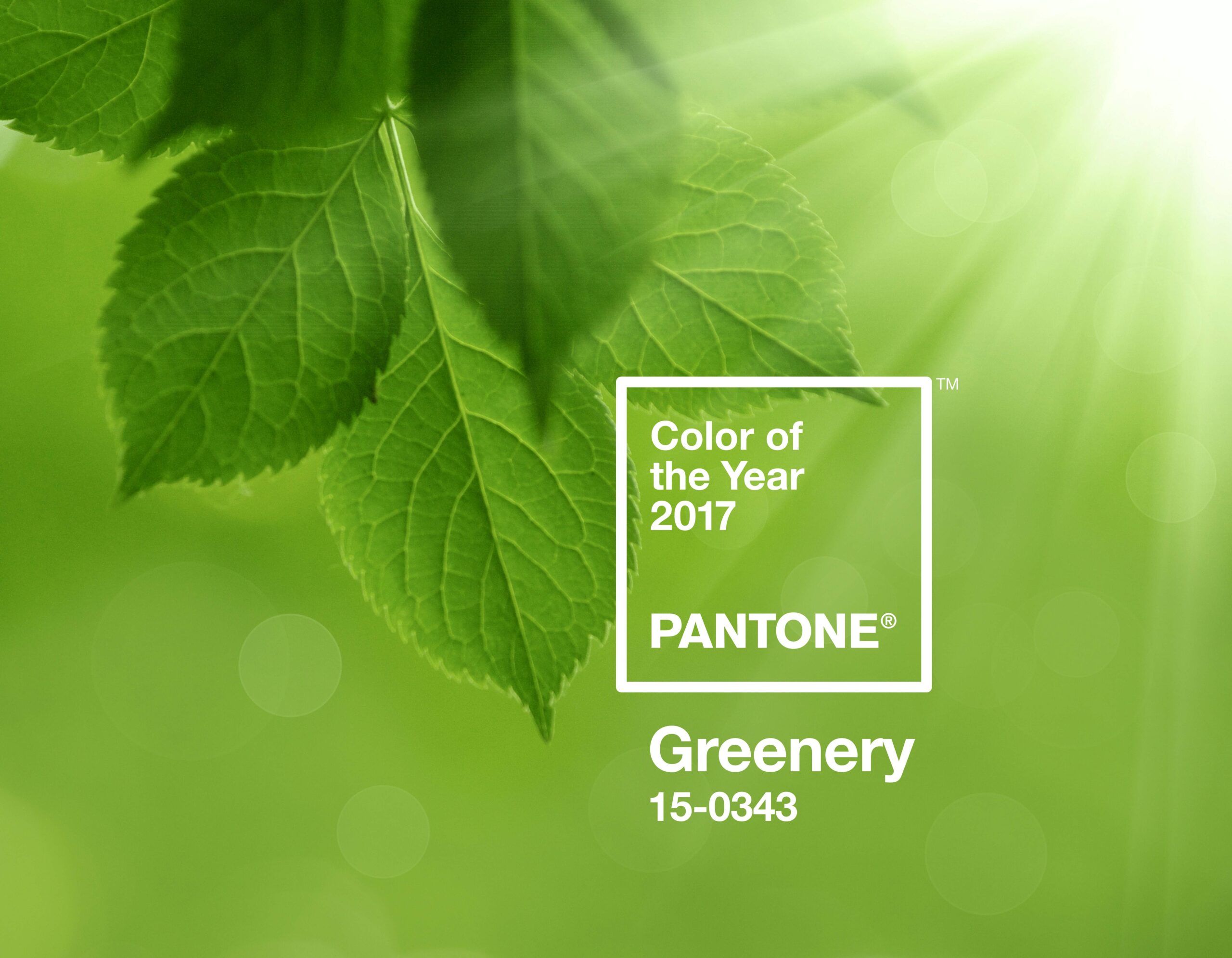Greenery:  Barva roku 2017 osvěží naše interiéry